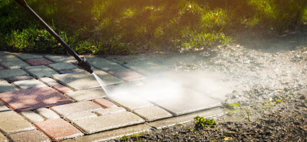 Best Animal Enclosure Cleaning  in Wrightstown, WI